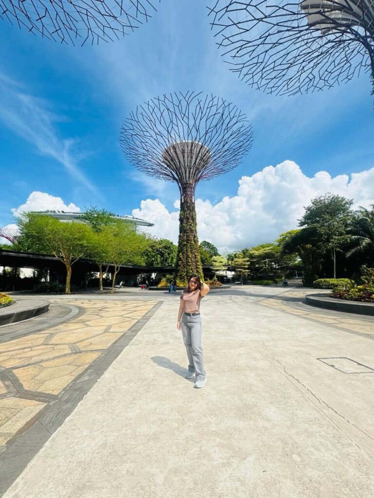 Twin cities - Gardens by the bay