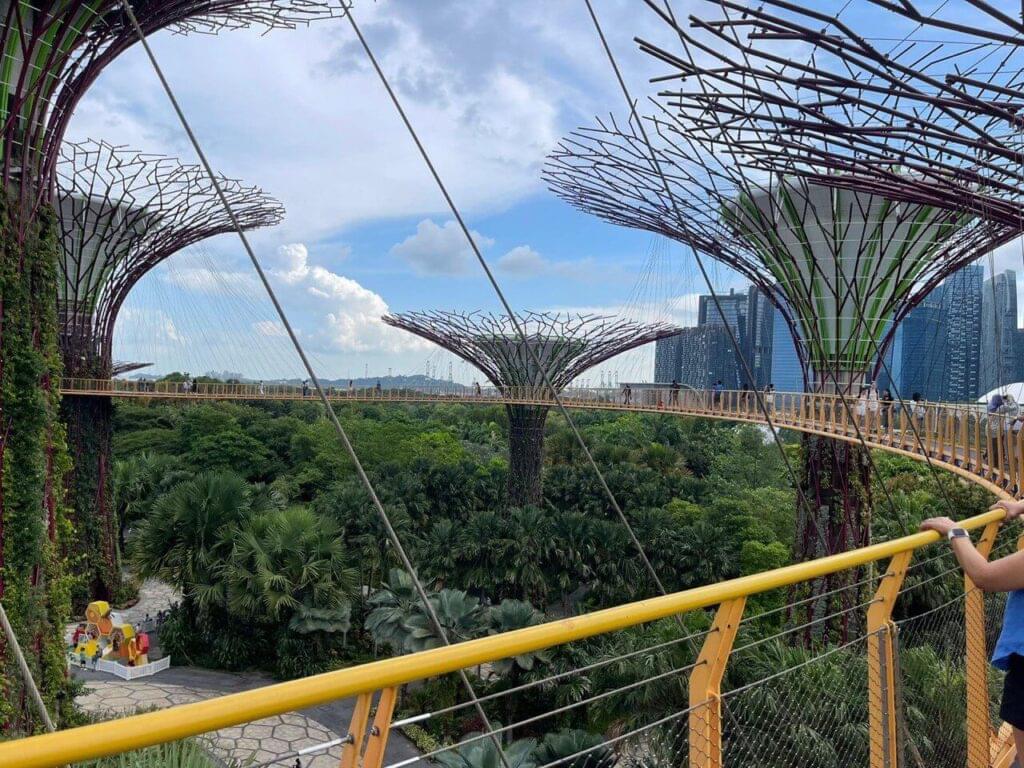 tourist attractions - Gardens by the bay