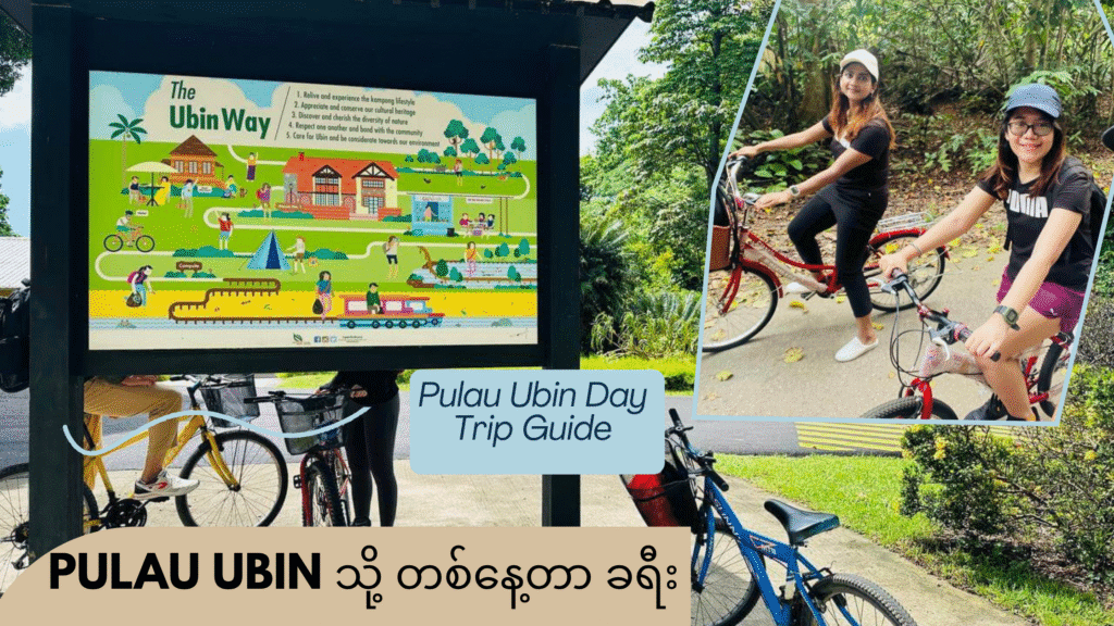 Pulau Ubin သို့ တစ်နေ့တာ ခရီး